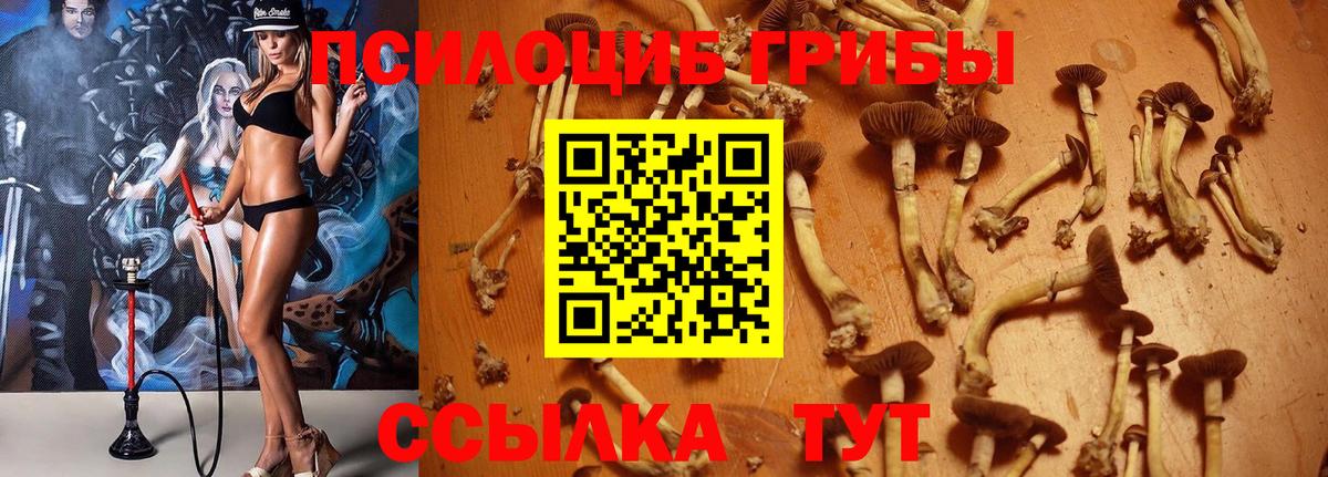 Галлюциногенные грибы ЛСД Лабинск